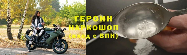индика Новодвинск
