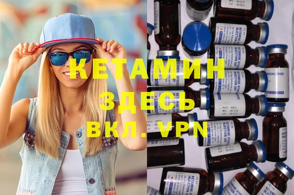 индика Новодвинск