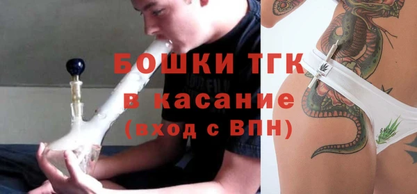 индика Новодвинск
