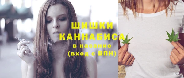 прущая мука Няндома