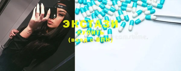 индика Новодвинск