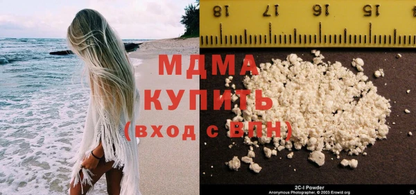 индика Новодвинск