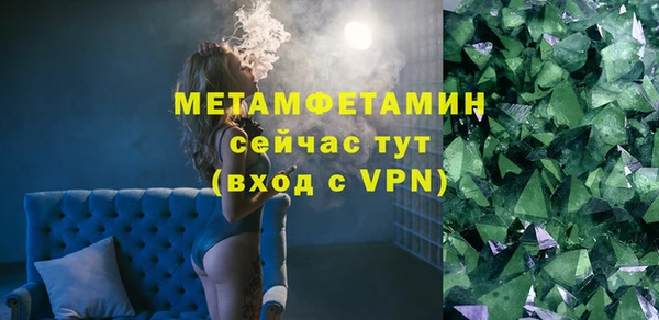 индика Новодвинск
