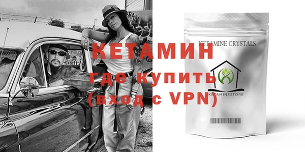 индика Новодвинск