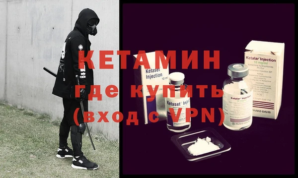 индика Новодвинск