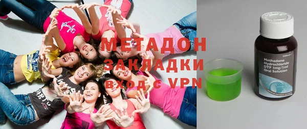 индика Новодвинск