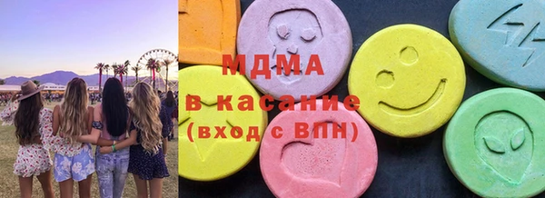 индика Новодвинск