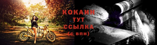 индика Новодвинск