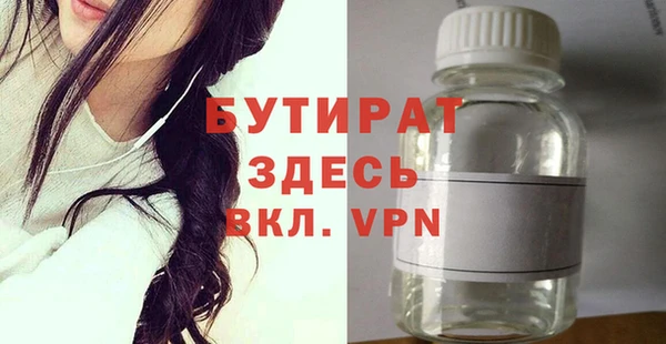 индика Новодвинск
