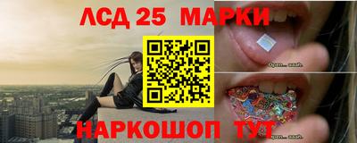 прущий лед Будённовск