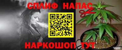 прущий лед Будённовск