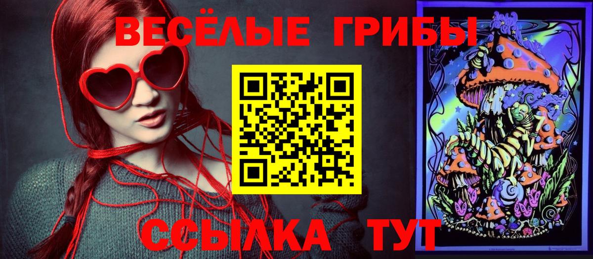 Галлюциногенные грибы мицелий Приморско-Ахтарск