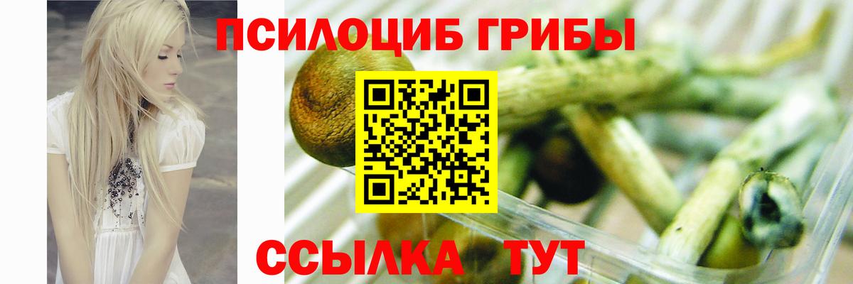 Галлюциногенные грибы прущие грибы  Вход с VPN  Приморско-Ахтарск  Псилоцибиновые грибы Magic Shrooms 