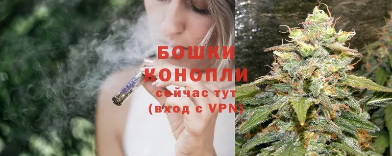 Бошки Шишки OG Kush  Приморско-Ахтарск 